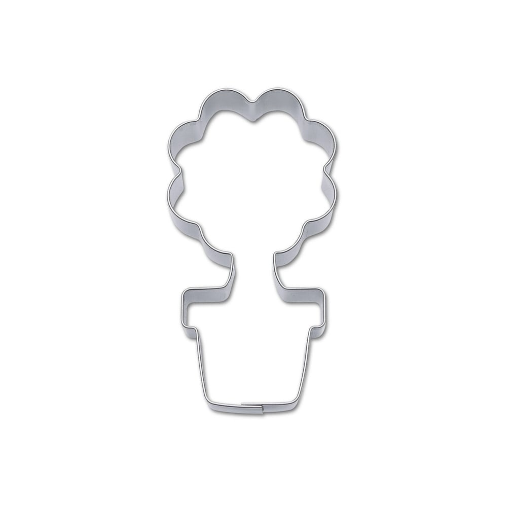 Städter Blume im Topf 7,5 cm